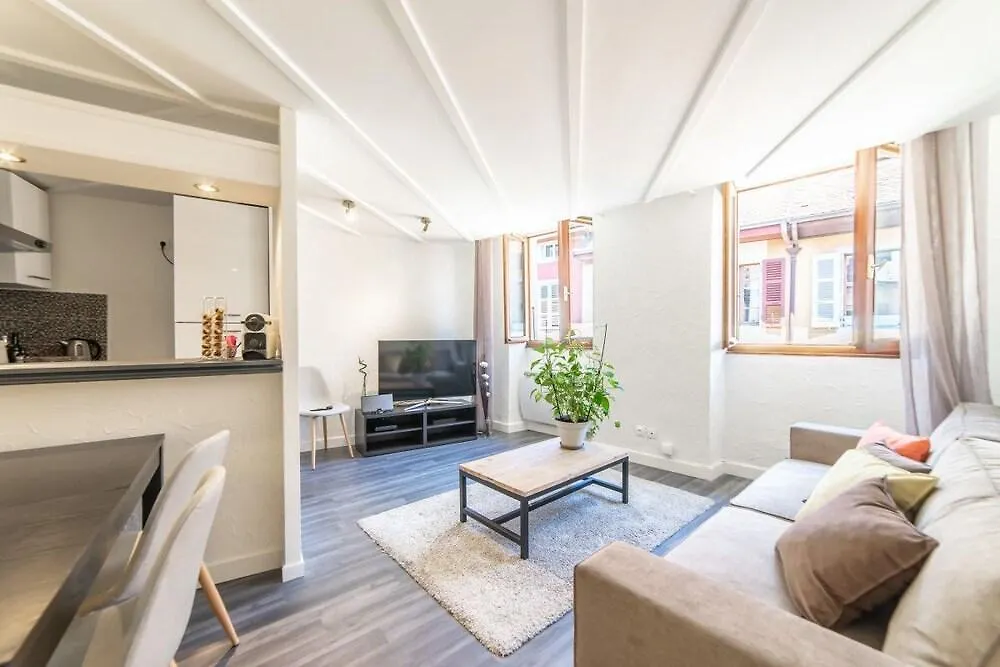 Le Saint Jean - Appartement Rue Carnot Pour 2 - 4 Pers Анси 0*,